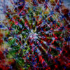 Cabo San Lucas Mexico Inspired Modern Abstract Wall Art titled Cactaceous Art By Val