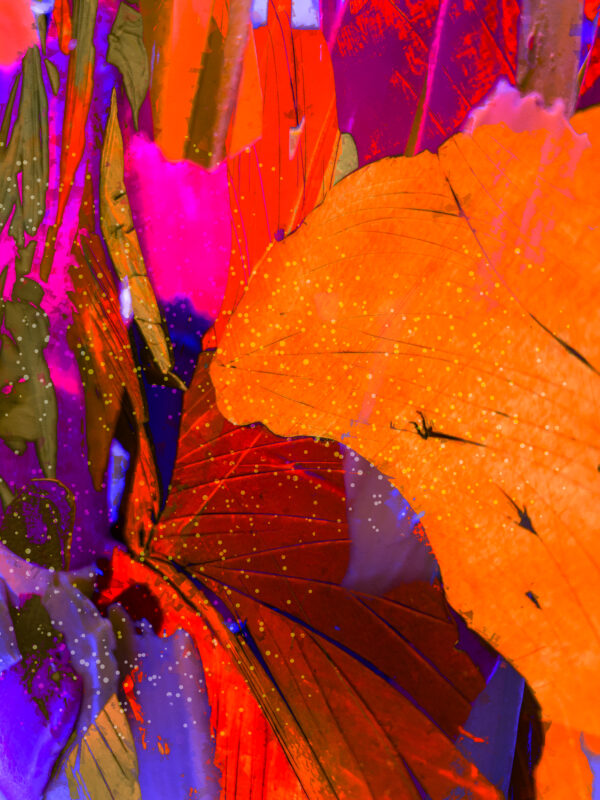 The Colors Of Earth abstract modern wall art painting on canvas by artist Michael John Valentine