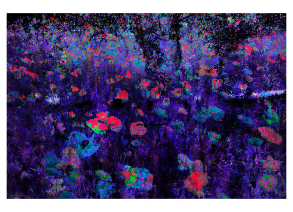 Poppy Flower Abstract by artist Michael John Valentine
