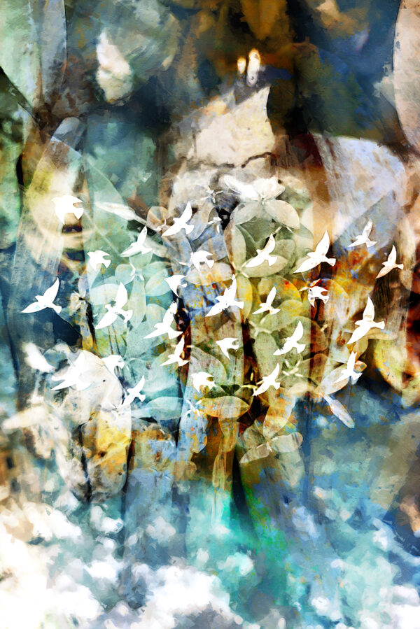 Birds In Clouds Abstract